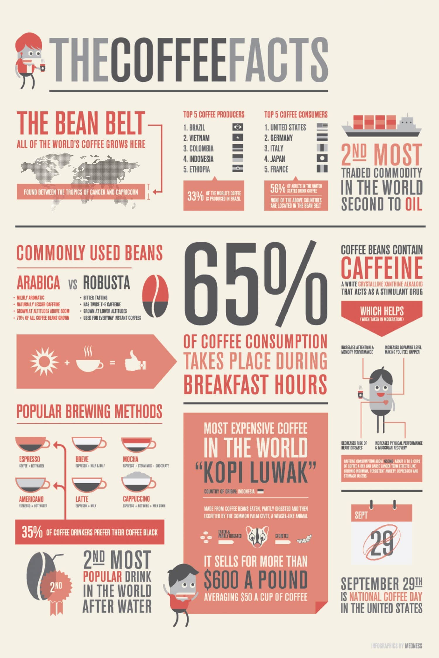 Facts about coffee infographic